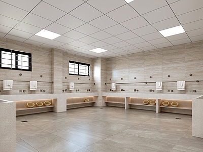 现代简约公共卫生间 公共卫生间 淋浴间