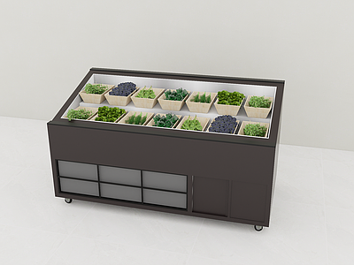 现代简约展柜 冰柜 展示冰柜 菜品冷藏柜 菜品展示柜 卧式风幕柜
