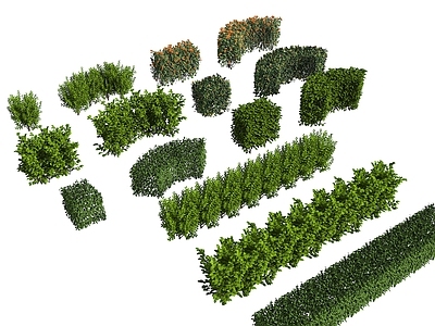 现代主义景观灌木 灌木 灌木丛 植被  弧形灌木  绿篱绿化带