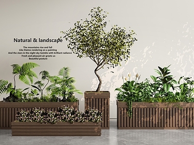 现代简约花箱 外摆花箱 植物堆 室内景观 花池花坛 花草景观树