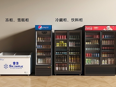 现代简约冰柜 冰柜 冷藏柜 饮料柜 雪糕柜 冻柜