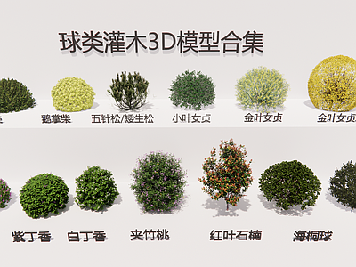 现代简约灌木 球类灌木3D合集 月桂金叶女贞海桐 丁香五针松矮生松 夹竹桃鹅掌柴球灌 红叶石楠球灌木