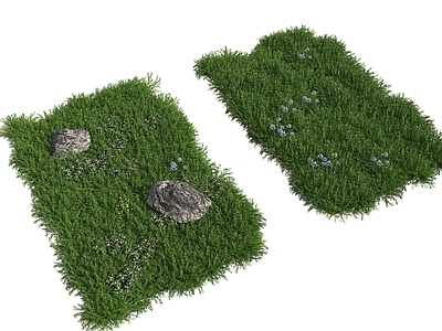 自然野趣风草坪 现代草坪 草地   杂草 野草 植物