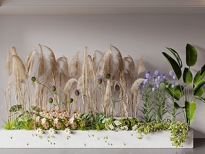 现代简约花境 花池 植物堆 芦苇 干草 室内景观