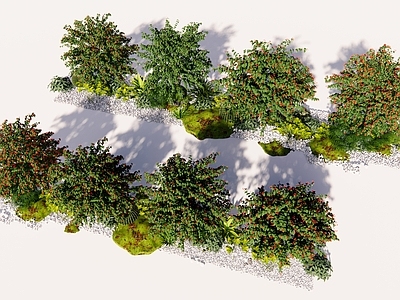 现代主义景观植物组合 景观植物组合 景观植物灌木乔木 园林景观植物造景 灌木植物乔木树 灌木组合植物造景