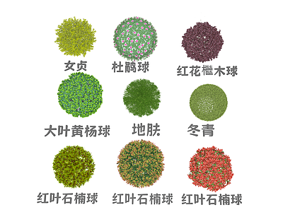 现代园林植物造景灌木 球形灌木3D合集 大叶黄杨球女贞球 红花檵木球杜鹃球 红叶石楠球冬青球 地肤球灌木合集