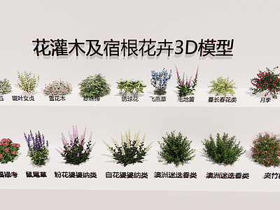 现代简约花草  花灌木3D合集 络石雪花木珍珠梅 燕草毛地黄月季 矮牵牛福禄考合集 婆婆纳迷迭香合集