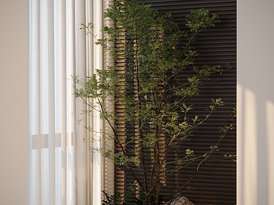 新中式阳台 现代室内景观植物