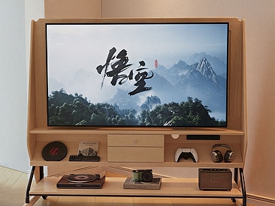 原木风电视 中古移动电视 移动电视
