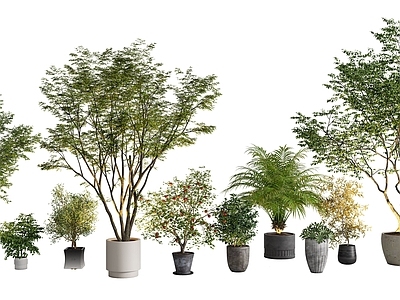 现代简约盆栽 景观树盆栽 绿植 盆景 盆栽组合 花瓶