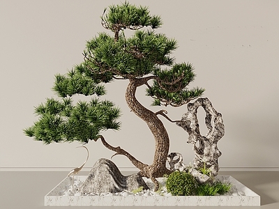 新中式景观植物组合 景观松 造型五针松 景观树 景观石 雪浪石
