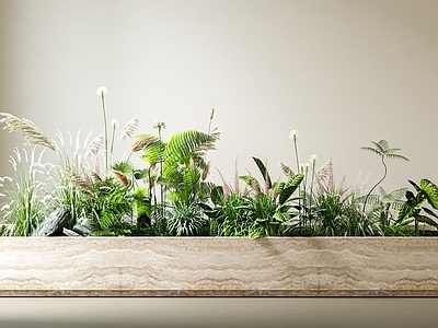 奶油风花箱 户外花箱 花坛 植物造景 芦苇草 造景