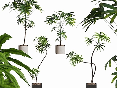 现代简约盆栽 现代植物盆栽摆件