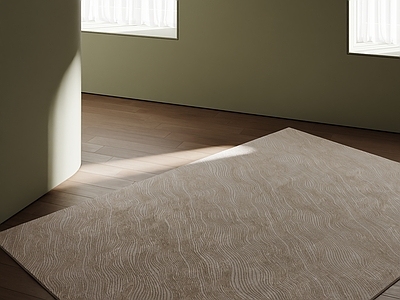 极简地毯 现代极简地毯 现代地毯 奶油中古地毯