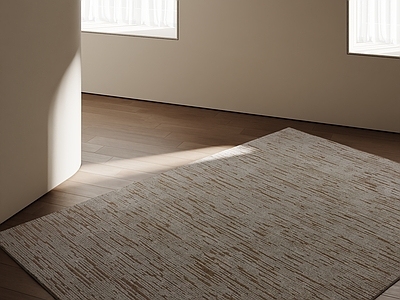 极简地毯 现代地毯 奶油地毯 客厅地毯 中古地毯