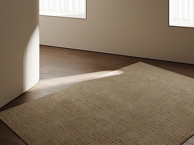 极简地毯 现代奶油地毯 中古地毯 极简现代地毯
