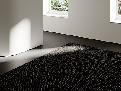 极简地毯 黑色地毯 现代极简地毯 中古地毯