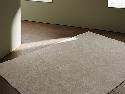 极简地毯 现代奶油地毯 中古地毯