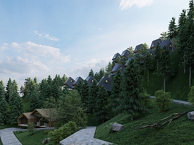现代山地建筑民宿建筑 现代森林木屋 木屋民宿  森林别墅 度假村