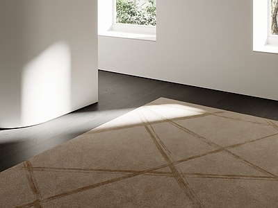 极简毛绒地毯 现代地毯 奶油地毯 中古地毯 轻奢地毯