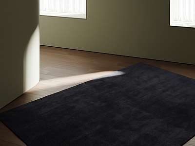 极简地毯 意式地毯 轻奢地毯 中古地毯 深色地毯 现代地毯