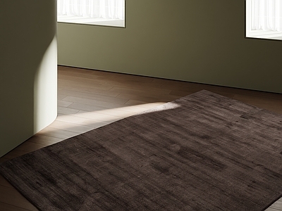 极简地毯 意式地毯 轻奢地毯 现代地毯 奶油中古地毯 原木地毯