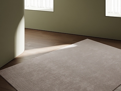 极简地毯 现代地毯 奶油地毯 中古地毯 原木地毯