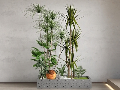 现代简约植物组合 现代景观植物 景观花池  植物组团 植物堆