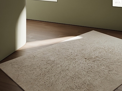 极简地毯 现代地毯 奶油地毯 中古地毯