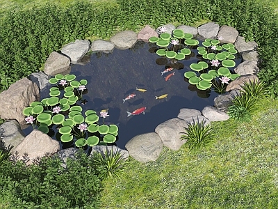 日式禅意鱼池 生态鱼池 水池 荷花池 锦鲤池 跌水水景