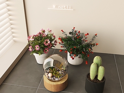 奶油风盆栽 玻璃球多肉摆件 创意玻璃球微景观 多肉仙人掌摆件 绿植植物盆栽花 石榴盆栽
