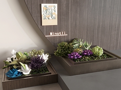 现代简约绿植摆件 多肉植物盆栽盆景 绿植造景植物 绿植花箱花槽 室内微景观仙人球