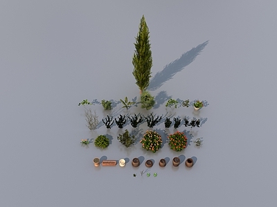 现代简约植物堆 花卉植物组合