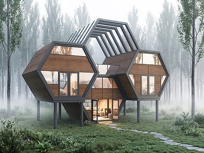 现代民宿建筑 蜂巢民宿 轻钢民宿 轰趴房 露营民宿