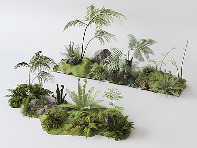 自然野趣风植物组合 现代植物组合