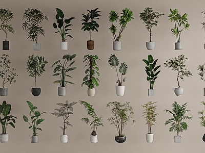 现代简约盆栽 现代盆栽组合