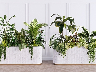 奶油风植物组合 室内植物盆栽组合 植物围挡 绿植盆栽盆景 灌木花草组合 庭院绿植景观