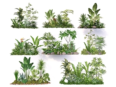 热带植物景观植物组合 植物组合 植物组团 热带植物团 庭院植物组合 景观植物组团