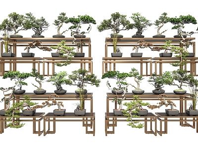 新中式盆景 室内盆栽松树摆件 盆景罗汉松 盆栽绿植盆景 新中式盆景松树 盆栽罗汉松