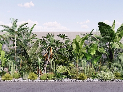 热带植物景墙植物组合 热带植物组合 庭院植物景观 棕榈多肉蕉树 沙漠植物组合 乔木灌木组合