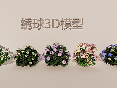 奶油风灌木 绣球灌木3D合集 多色绣球花合集 球形伞房花合集 庭院景观灌木丛 落叶阔叶花灌木