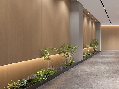 现代简约办公区 现代植物景观造景 过道 室内景观小品  蕨类植物堆  办公室过道