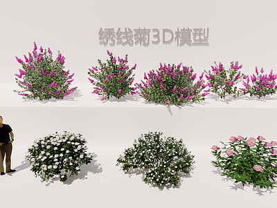 现代简约灌木 绣线菊3D花灌木 地被花灌3D 花境配置3D 庭院绿化花灌3D 园林景观灌木素材