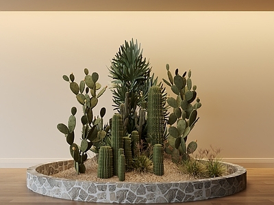 现代简约沙漠植物 沙漠 植物堆x 仙人掌