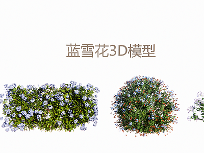现代主义景观灌木 蓝雪花3D 庭院绿化花灌3D 蓝花开花3D 花境观花植物 园林景观灌木素材