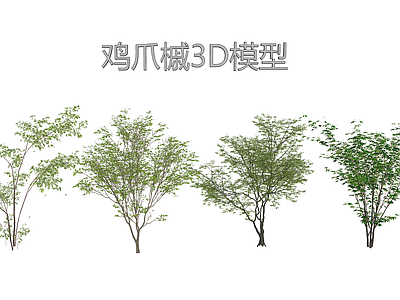 现代乔木 鸡爪槭3D合集 槭树小乔木 庭院点景树木3D 观姿精品孤植树 自然式庭院树素材