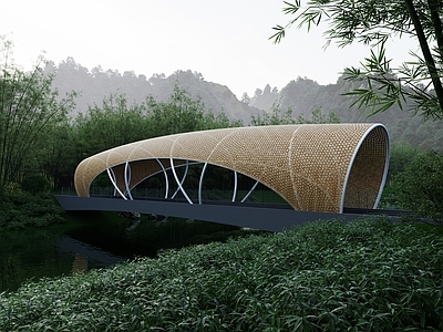 新中式大桥 乡村桥 竹编桥 乡土景观 茶田人行桥 乡村景观