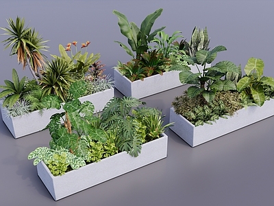 现代简约植物组合 绿植盆栽组合t 庭院植物景观 室内盆栽组合 灌木花草搭配 植物围挡