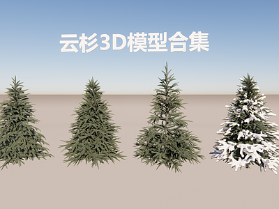 云杉三维合集 雪松冷杉3D 常绿针叶乔木 冬季积雪景观植物 北方常用针叶树