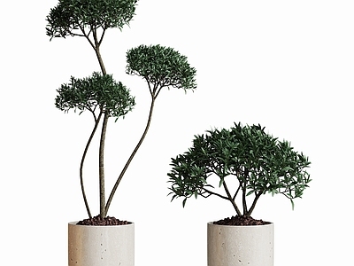 现代盆栽植物摆件